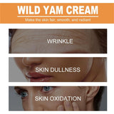 Wild Yam Cream - Annas Wild Yam Cream Organic for Hormone Balance, Women'S Organic Wild Yam Root Cream