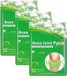 24 PCS Flexiknee Natural Knee Patches, Knee Patches, Flexi Knee Patches, Herbal Knee Patches